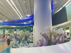 -厦门邮轮中心厦鼓码头(轮渡站)