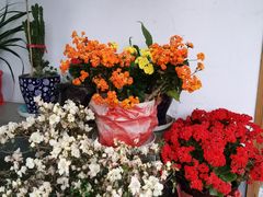 -竹园小居(石塘竹海店)