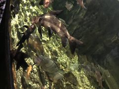 -江和美海洋公园