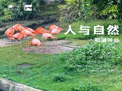 -南宁市动物园
