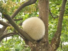 -1点点(银座和谐广场店)