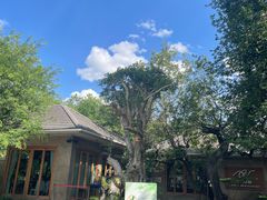 -Chom Cafe and Restaurant