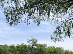-颐和园