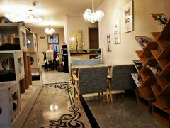 大堂-有猫儿腻咖啡厅.猫咖