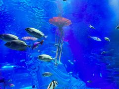 -沈阳海洋探索中心