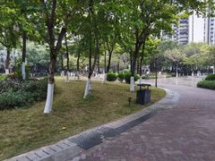-同德公园