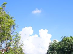 -光明小镇欢乐田园