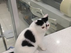 -乖乖乐动物医院(小汤山分院)