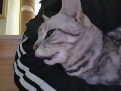 -青柠影咖·私人影院(龙泉店)