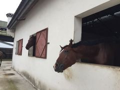 -松声马术俱乐部