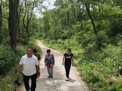 -青州仰天山