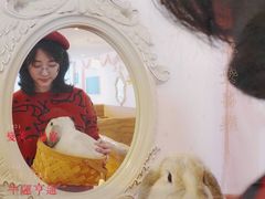 -猫猫幼稚园·撸猫·桌游·电玩