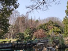 -东湖落雁景区
