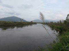 -芒洲湿地公园