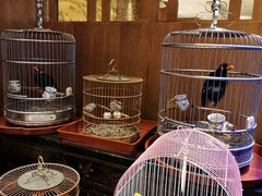 -老江南春·中国龙菜(衡山路店)