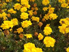 -长春公园(普阳街道)