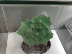 -中国地质大学逸夫博物馆