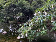-成都市活水公园