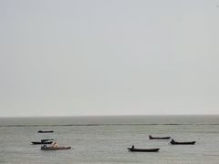 -合肥滨湖国家森林公园