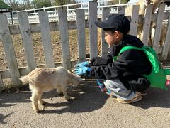 -前小桔亲子创意农场·草莓采摘·露营烧烤