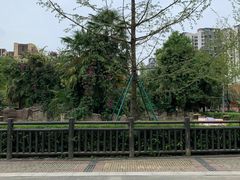 -成都动物园