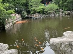 -横店圆明新园
