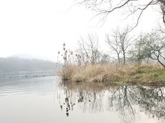 -西湖游船