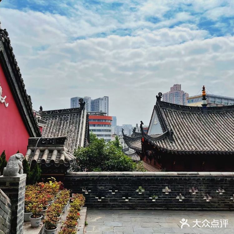 📷武汉摄影｜长春观