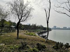 -上海滴水湖皇冠假日酒店