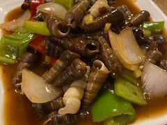 -土蚝·高压锅生蚝(百姓美食街店)