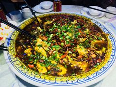 来凤鱼-新概念来凤鱼(璧山店)