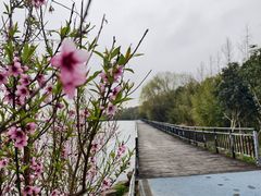 -小六农家乐(崇明西沙湿地店)