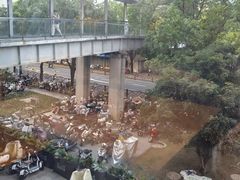 -小杨生煎(浦江欢乐颂店)