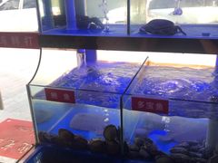 -小龍鳳·港式海鲜打边炉(沙湖路店)