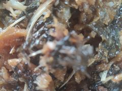 -小两口锦州烧烤·脆皮油边(依云北郡店)