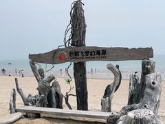 -巨鹏飞梦幻海岸