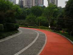 -龙头寺公园