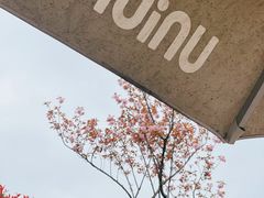 -UNI UNI(环亚凯瑟琳店)