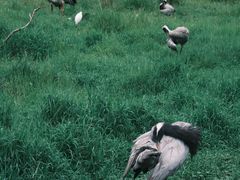 -普洱太阳河森林公园