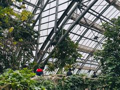 -南山植物园