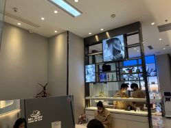 -Mr.JUDY洗个头发