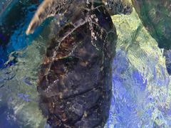 -福州罗源湾海洋世界旅游区