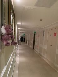 -恒熙玥月子会所