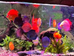 -上海海洋水族馆