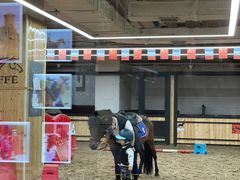 -巧虎KIDS早教托育成长中心(北京西城天虹中心)