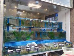 水产区-富临港·蒸汽海鲜·手抓海鲜·炒菜(栈桥店)