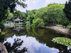 -叶家花园