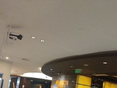-南桥绿地铂骊酒店