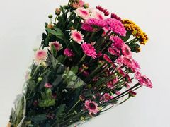 -粤珍轩.创始店.始于2001(含光门店)