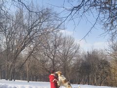 -谢尔盖圣三一大修道院